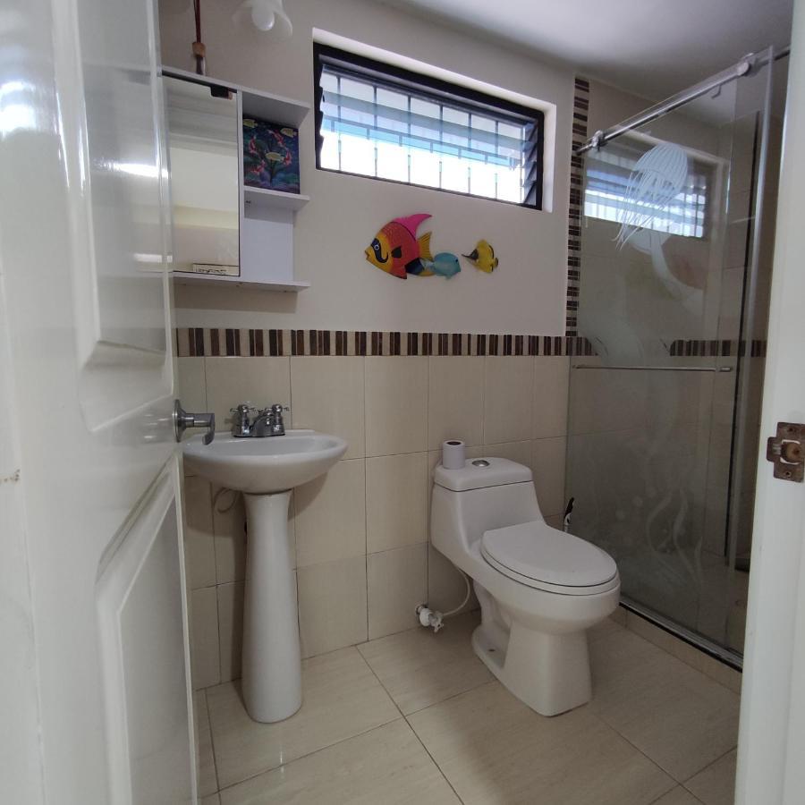 Los Andes Hostal Filandia Zewnętrze zdjęcie