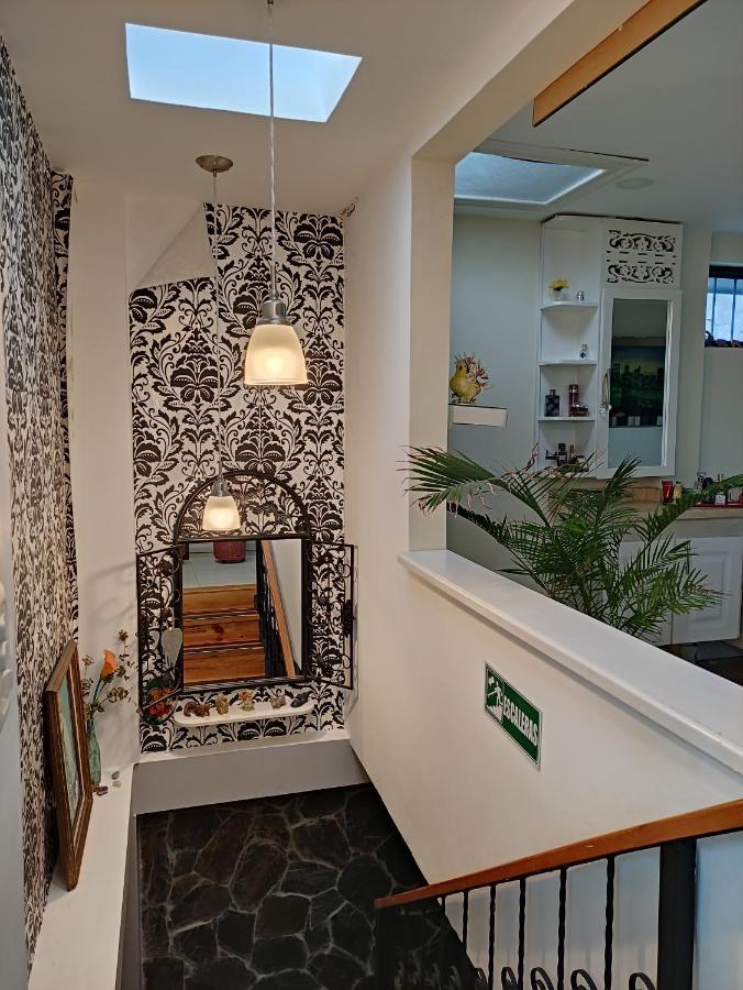 Los Andes Hostal Filandia Zewnętrze zdjęcie