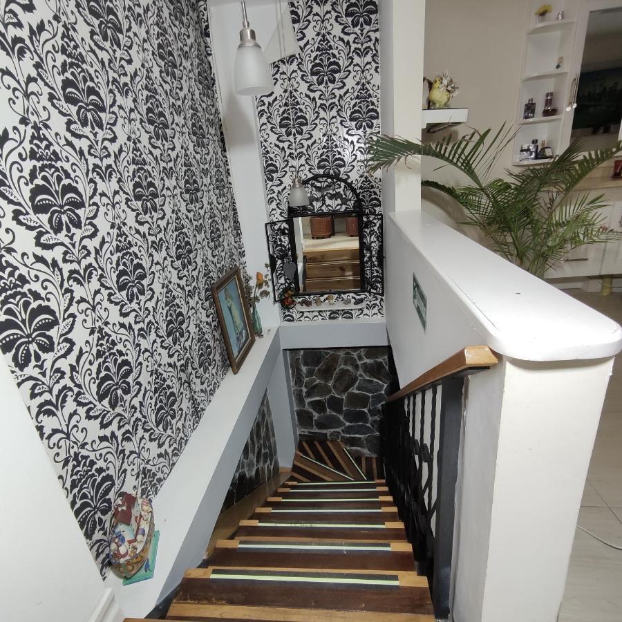 Los Andes Hostal Filandia Zewnętrze zdjęcie